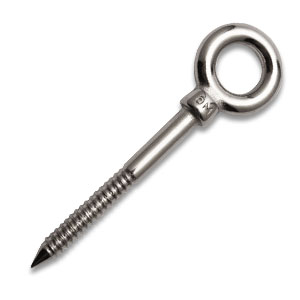 Stainless Steel Long Shank Eyebolt with Lag Thread